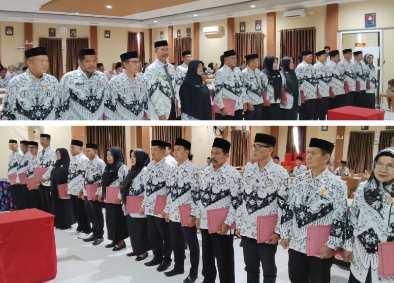 Bidang PGRI Papua Tanah - Persatuan Guru Republik Indonesia Cabang Papua Tanah